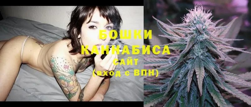 магазин продажи наркотиков  Собинка  Конопля SATIVA & INDICA 